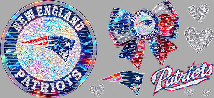 16oz team-NFL 3098
